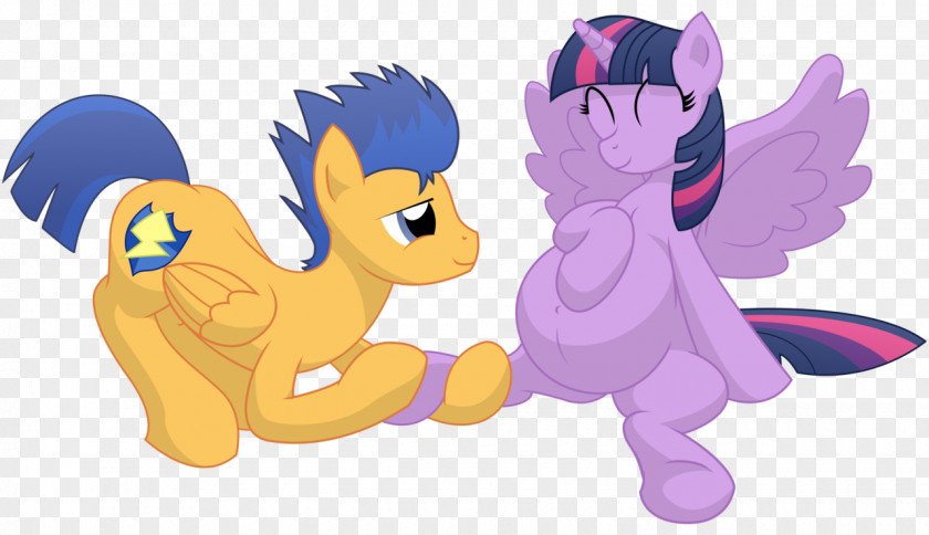 Pony Twilight Sparkle Rainbow Dash Horse PNG