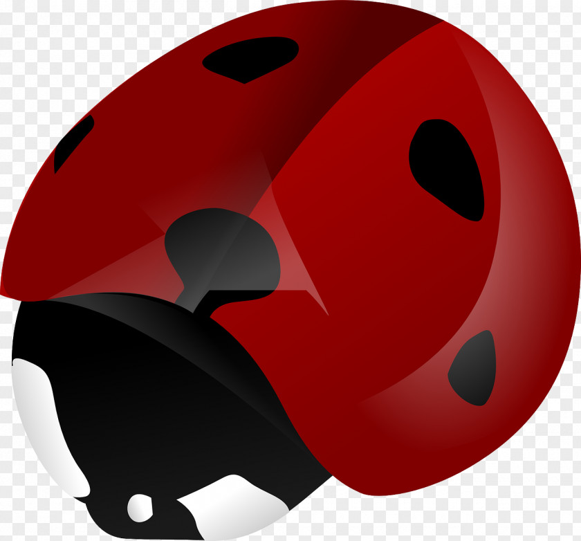 Red Beetle Ladybird Pixabay Clip Art PNG