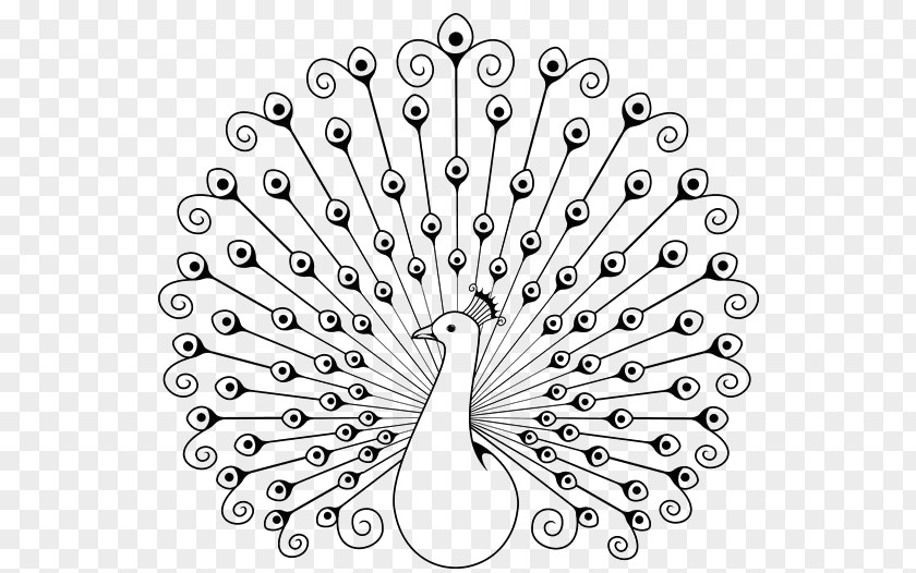 Stick Figure Peacock Peafowl Drawing Coloring Book Clip Art PNG