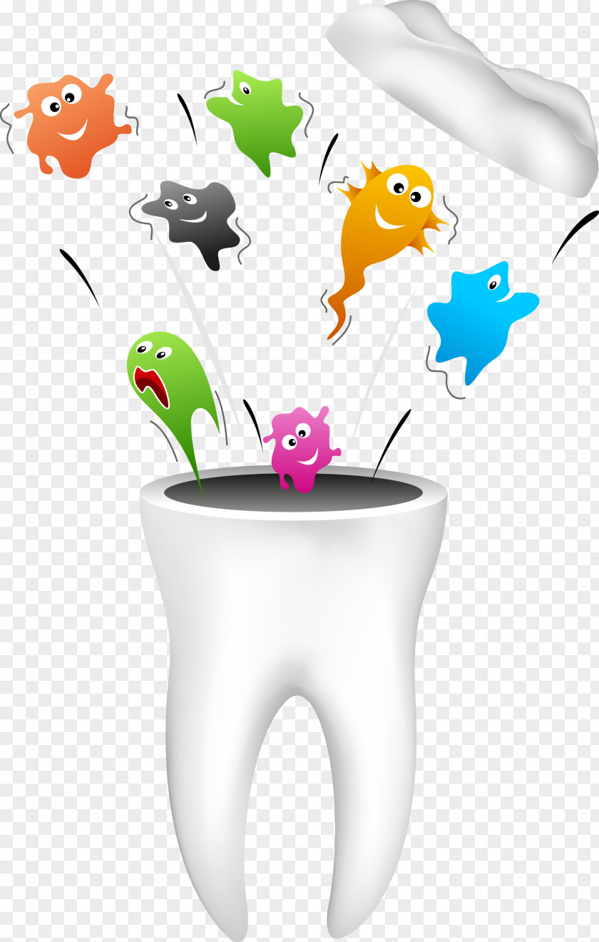 Teeth Dentistry Human Tooth Dental Hygienist PNG
