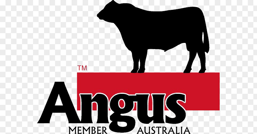 Angus Cattle Logo Ox Farm Australia PNG