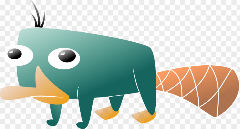 Cat Perry The Platypus Phineas Flynn Candace Ferb Fletcher PNG