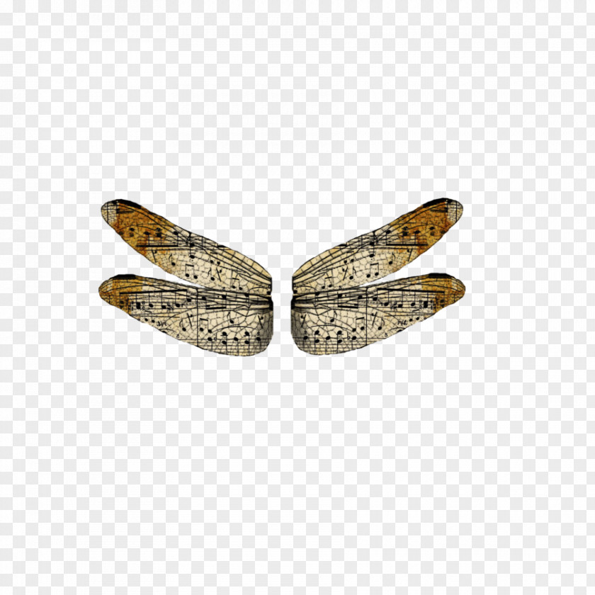 Dragonfly Insect Wing Photography Drawing PNG