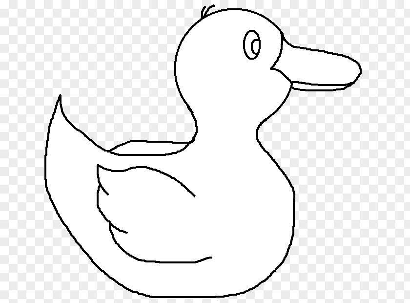 Duck Pond Clip Art Mallard Bird PNG