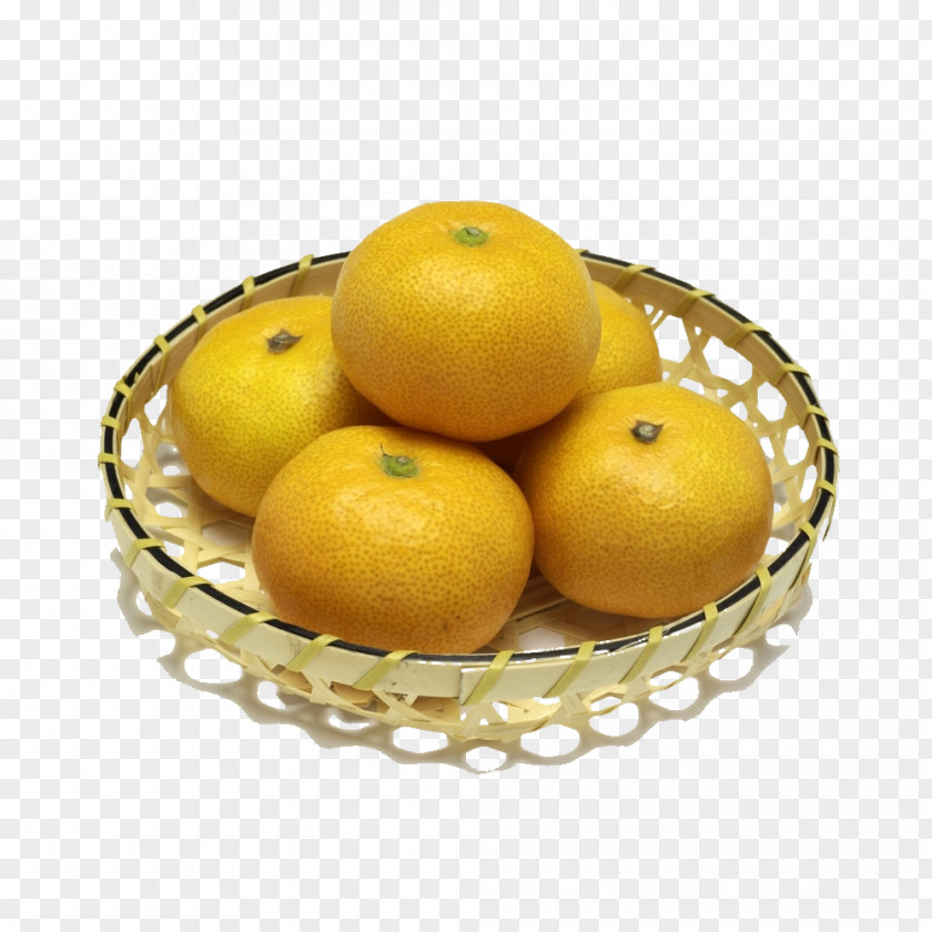 Hollow Plate Citrus Mandarin Orange Lime Satsuma Stock Photography PNG