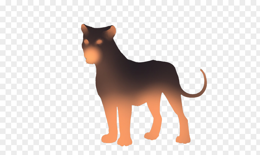Lion Whiskers Tiger Cat Dog Breed PNG