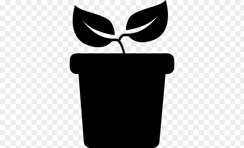 Potted Plant Flowerpot PNG