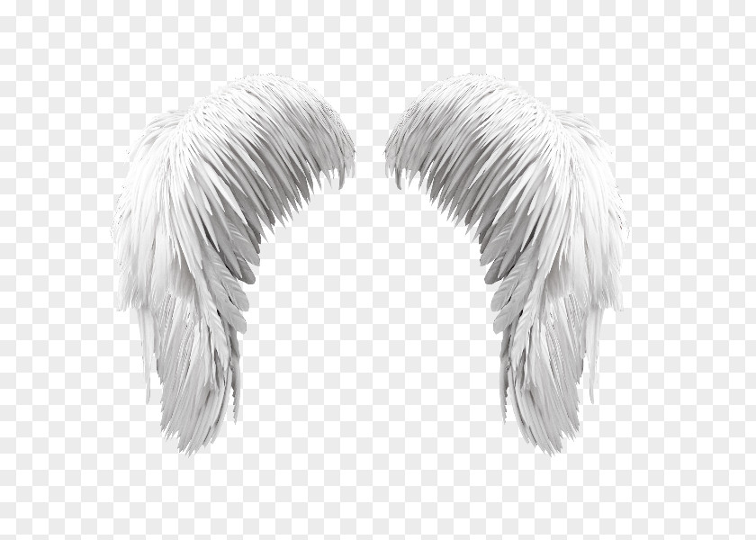 Angel Wings Icon Wing Ma Liberté Feather PNG