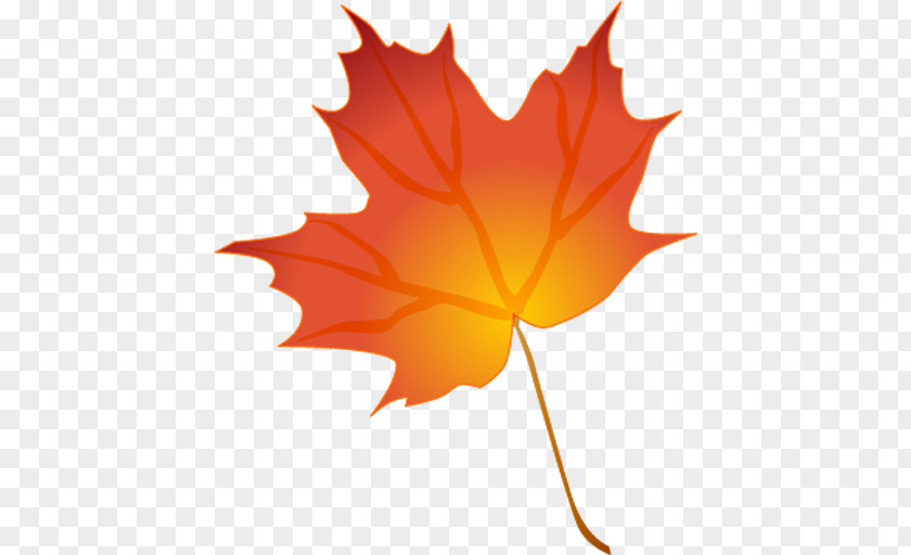 Autumn Leaf Color Drawing Clip Art PNG