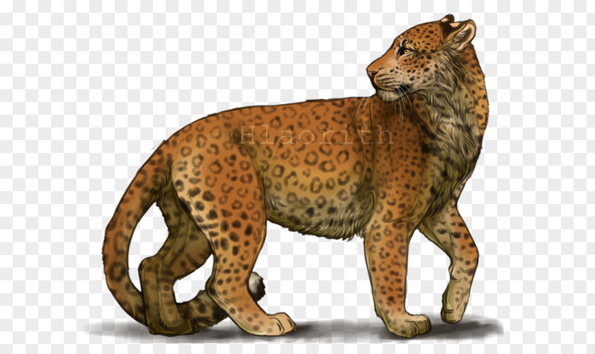 Cheetah Leopard Jaguar Lion Whiskers PNG