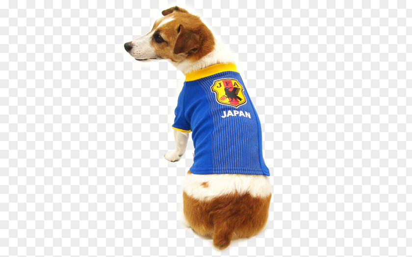 Dog Japan National Football Team Breed Under-23 2002 FIFA World Cup PNG