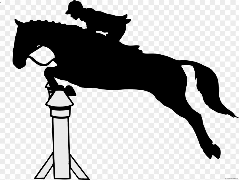 Horse Pony Clip Art Equestrian Jumping PNG