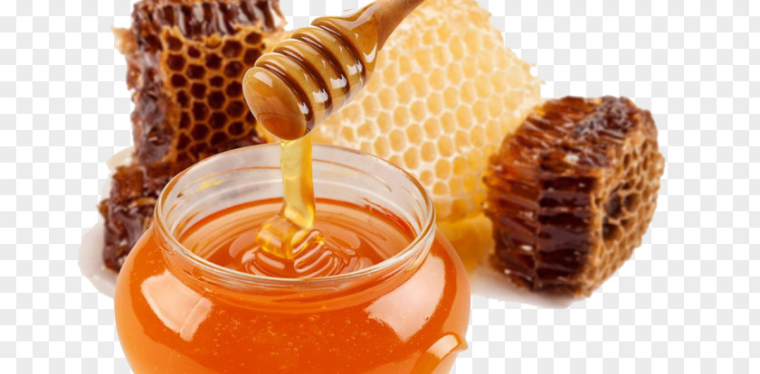 Bee Honey Food Nectar Health PNG