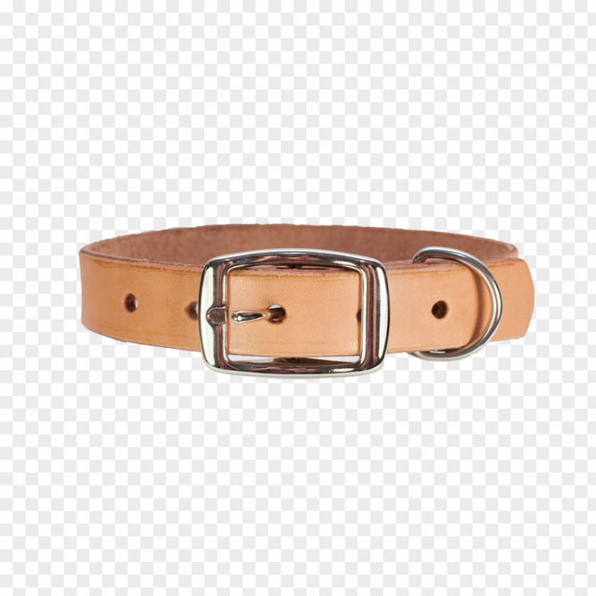 Belt Dog Collar Leash PNG