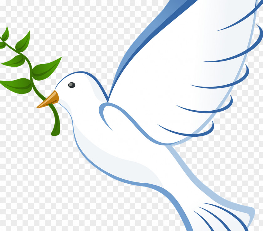 Blanca Pigeons And Doves Clip Art As Symbols Free Content PNG