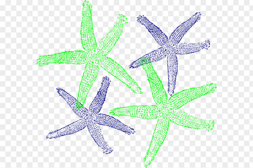 Colored Starfish Clip Art PNG