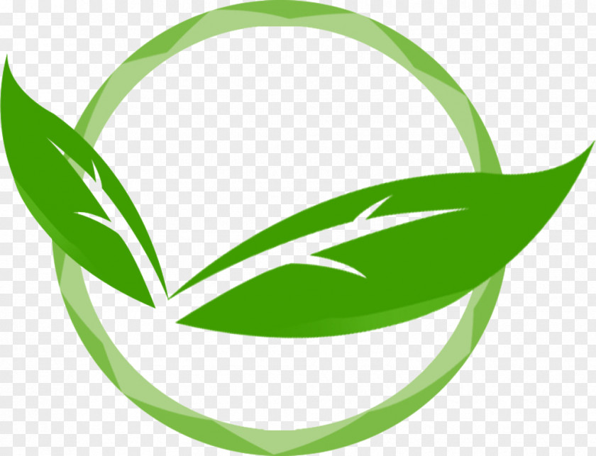 Leaf Logo Clip Art PNG