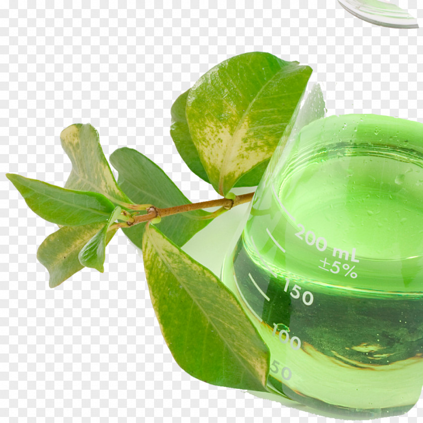 Manuka Erlenmeyer Flask Cantu Pest Control Art Skin Dermatology PNG