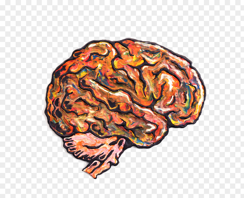 Stained Brain Pattern Agy Creativity Clip Art PNG