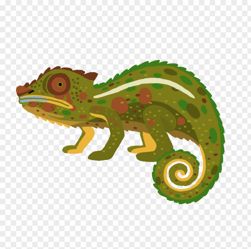 Cameleon Chameleons Iguanas PNG
