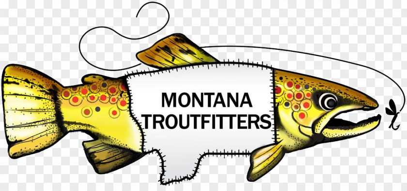 Mt Montana Troutfitters Fishing Brook Trout Place Angling PNG