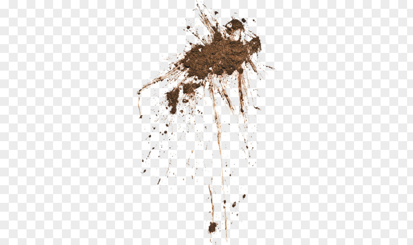 Mud Soil Drawing PNG