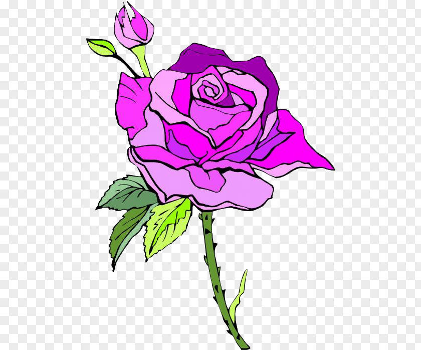 Pink Rose Garden Roses Centifolia Rosa Chinensis Beach Clip Art PNG
