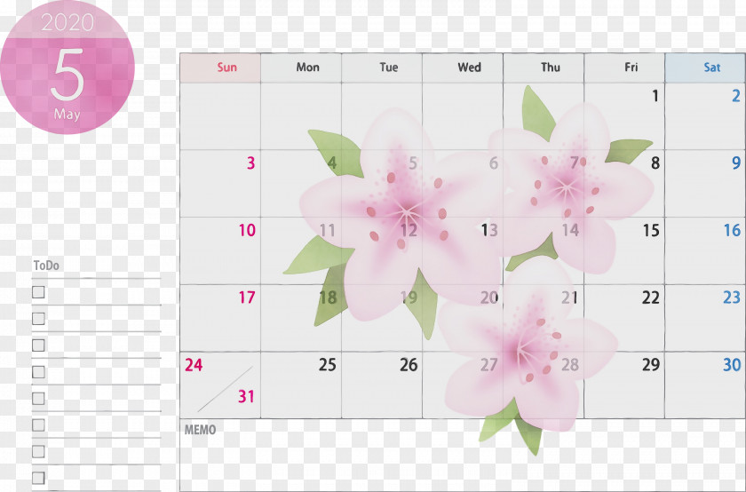 Pink Text Petal Plant Flower PNG