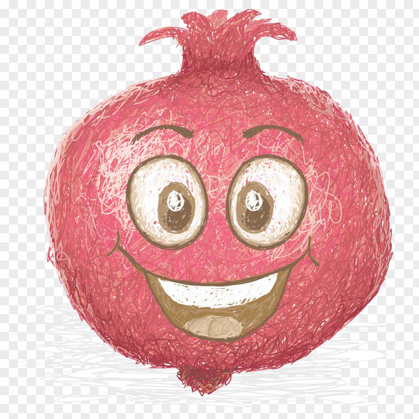 Pomegranate Fruit Coconut Apple Illustration PNG