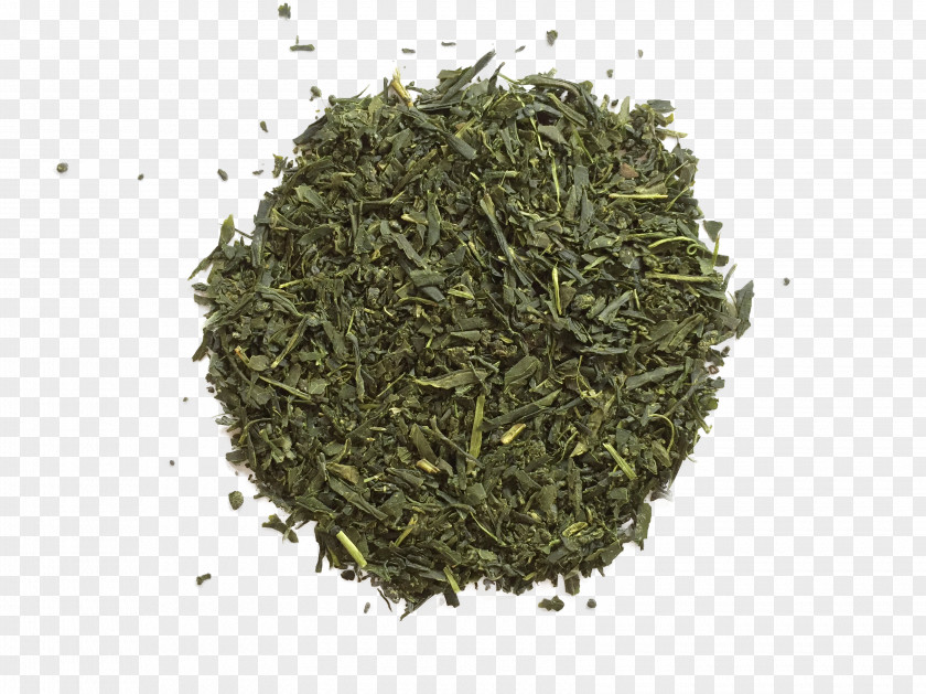 Tea Gyokuro Nilgiri Oolong Sencha PNG