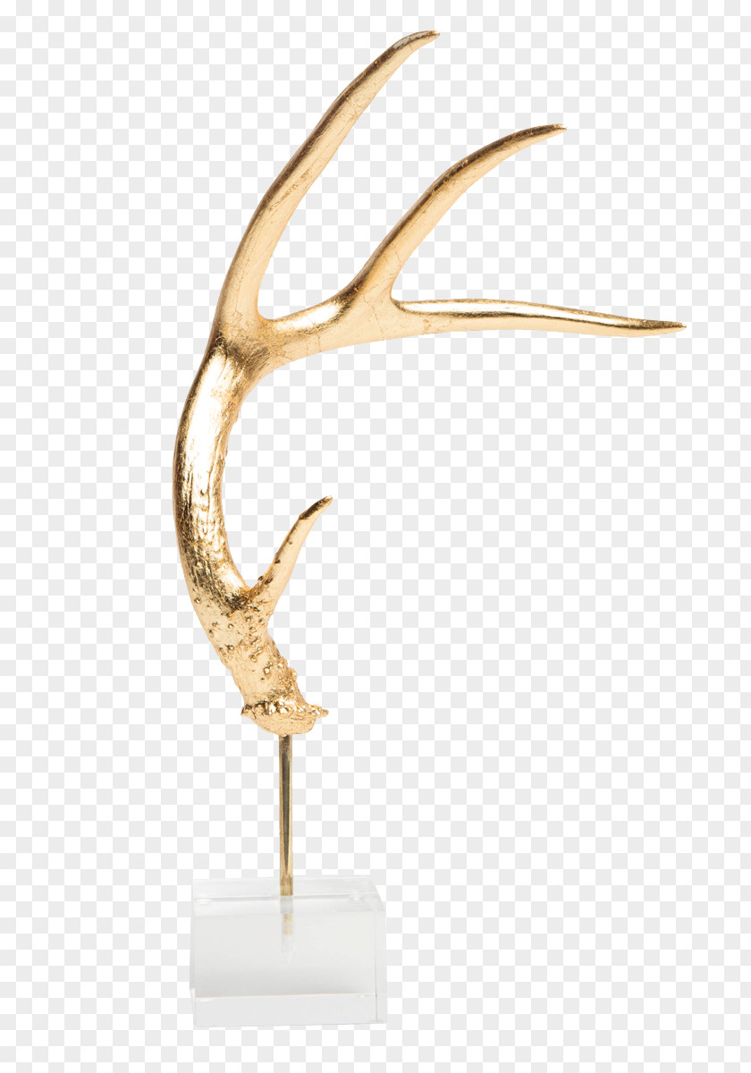 Antler Deer Acrylic Paint Artificial Nails PNG