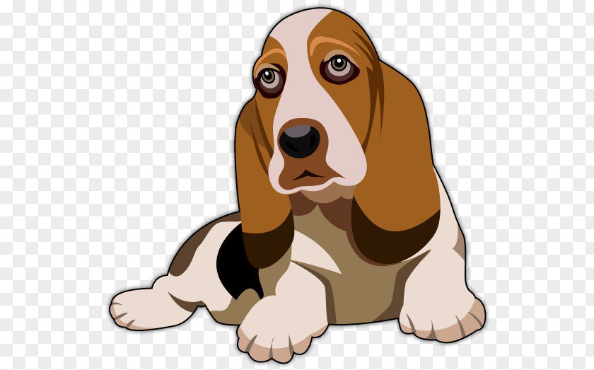 Basset Hound Artésien Normand Beagle Bloodhound PNG