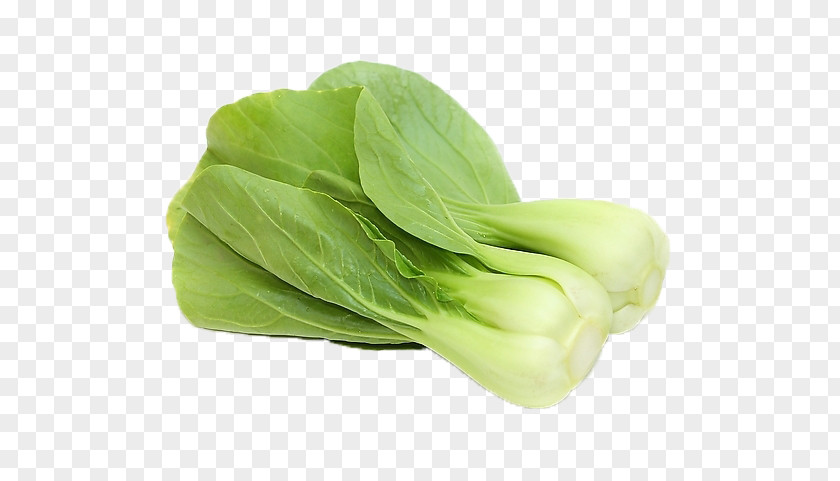 Cabbage Bok Choy Vegetable U4e0au6d77u767du83dc Napa Allium Fistulosum PNG