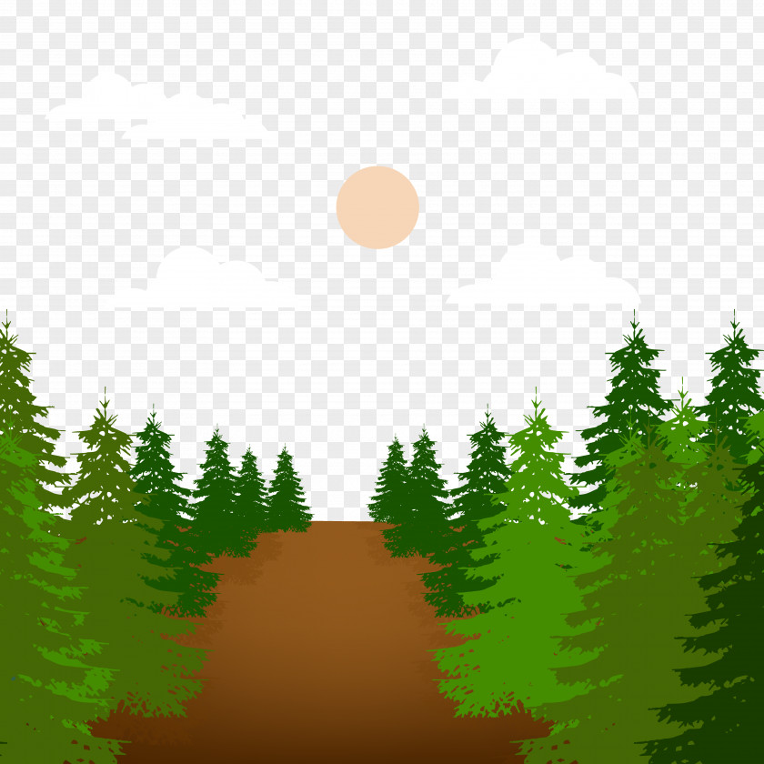 Cartoon Forest Scene Animation PNG