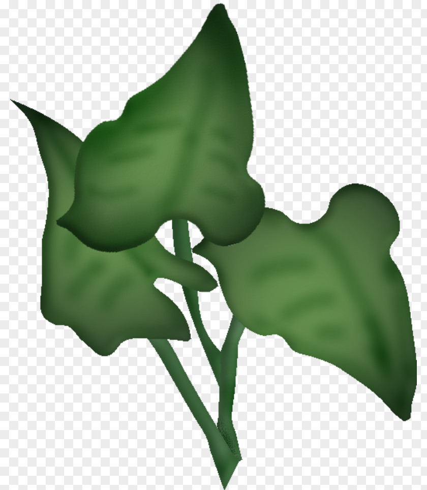 Flower Leaf Petal Clip Art PNG