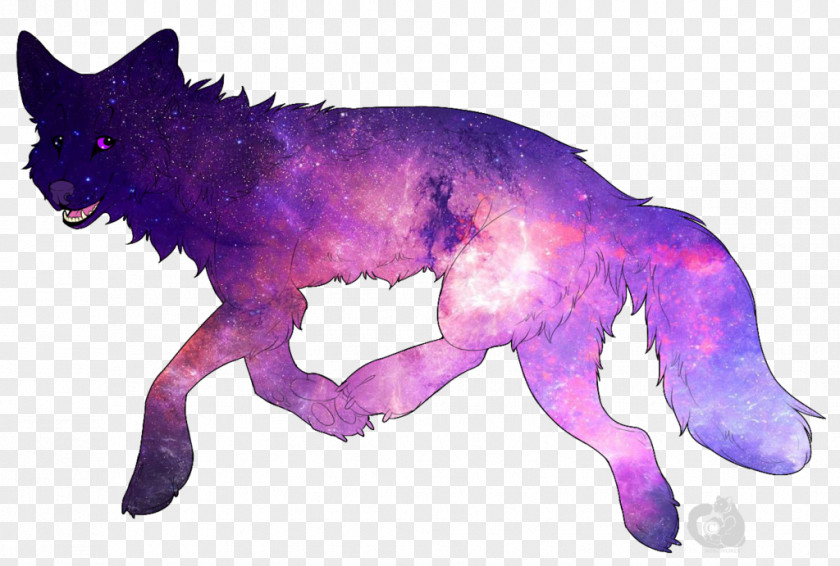 Galaxy Dog Canidae Animal PNG