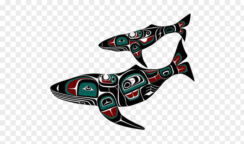 Pattern Whale Indigenous Peoples Of The Pacific Northwest Coast West United States Art Haida People PNG
