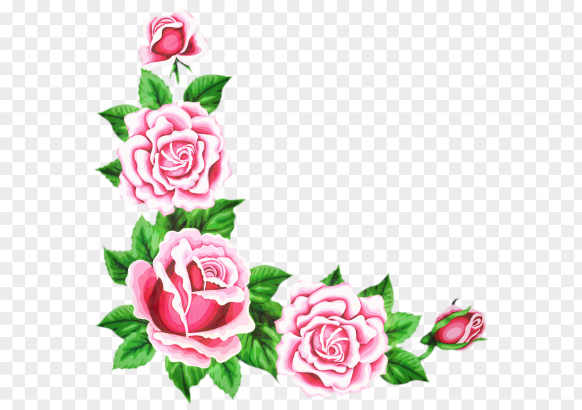 Petal Rose Order Pink Border PNG