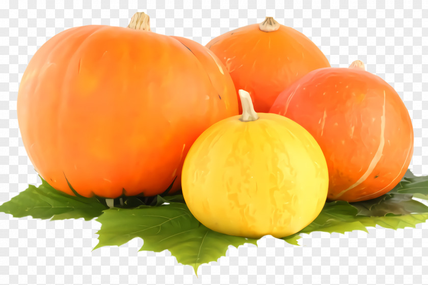 Plant Local Food Pumpkin PNG