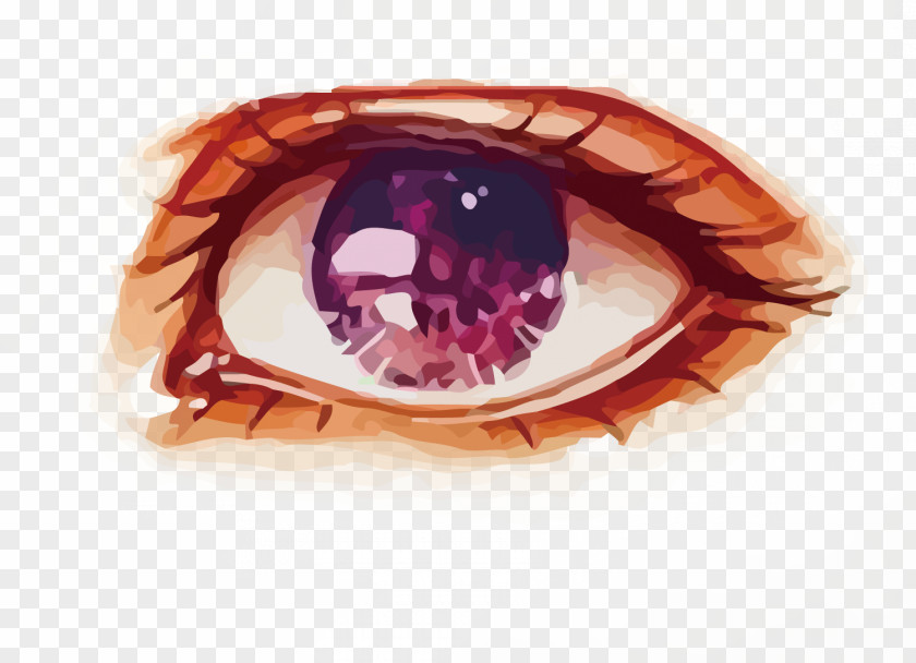 Vector Purple Eyes Watercolor Painting Eye PNG