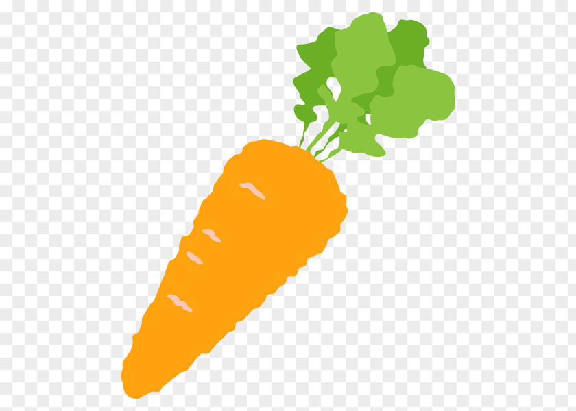 Carrot Vector Graphics Illustration Vegetable Image PNG