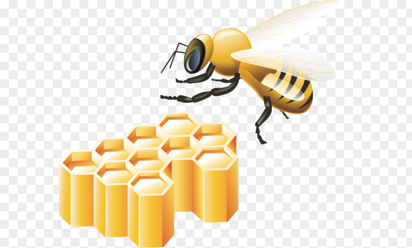 Cartoon Bee Free Buckle Material Clip Art PNG