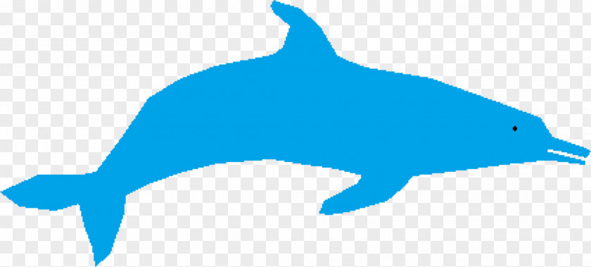 Common Bottlenose Dolphin Tucuxi Clip Art PNG