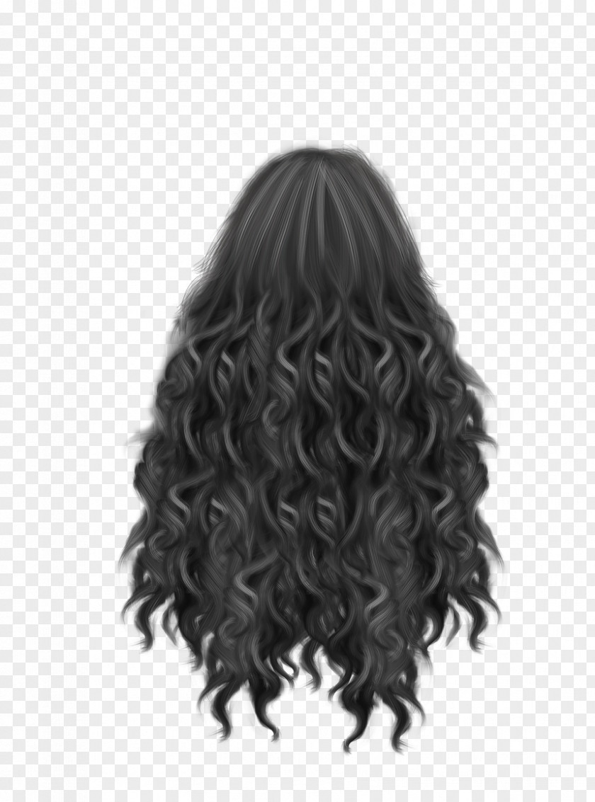 Curly Artificial Hair Integrations Long PNG