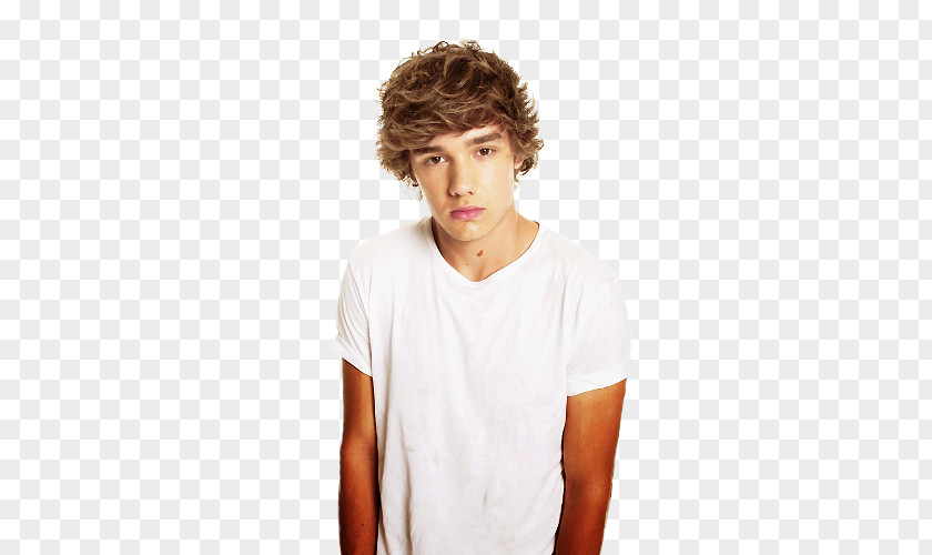 One Direction Liam Payne Musician PNG