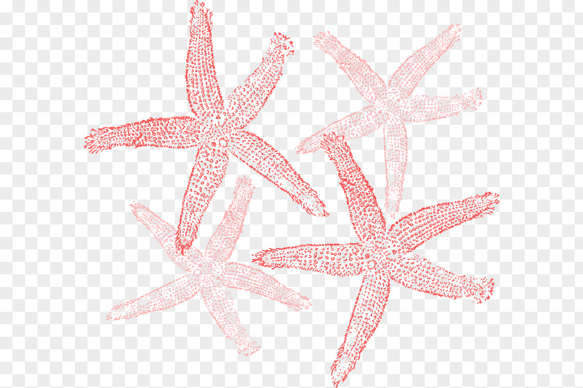 Print Clipart Starfish Clip Art PNG