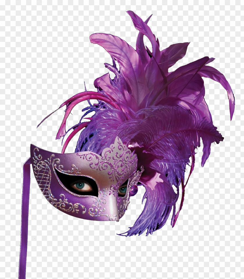 Purple Feather Masks Mask PNG