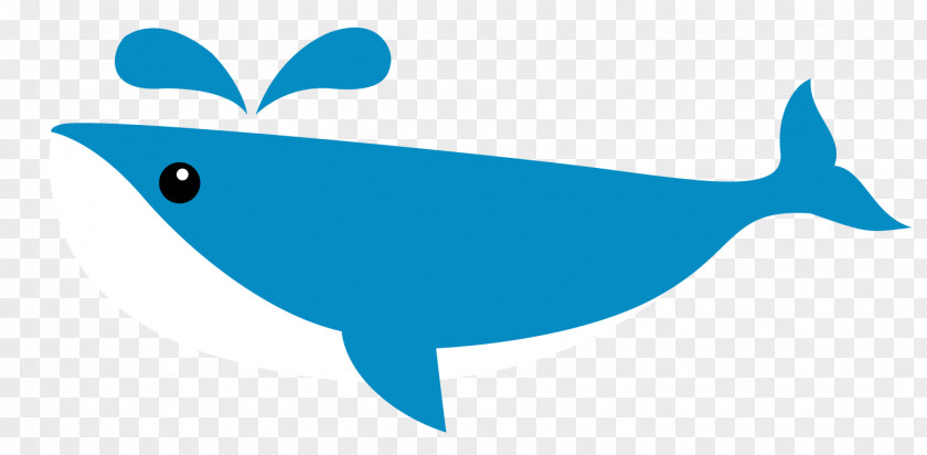 Shark Dolphin Whale Clip Art PNG