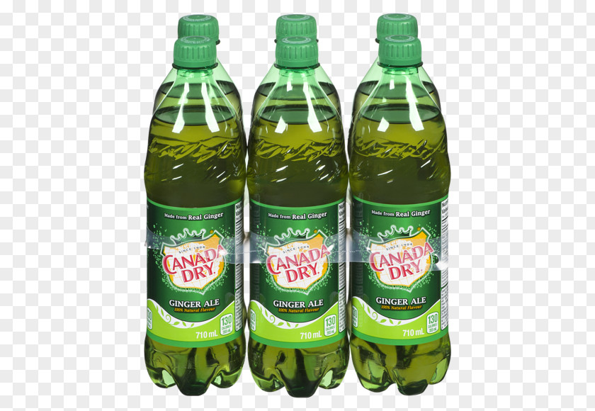 Sprite Fizzy Drinks Ginger Ale Carbonated Water Coca-Cola PNG
