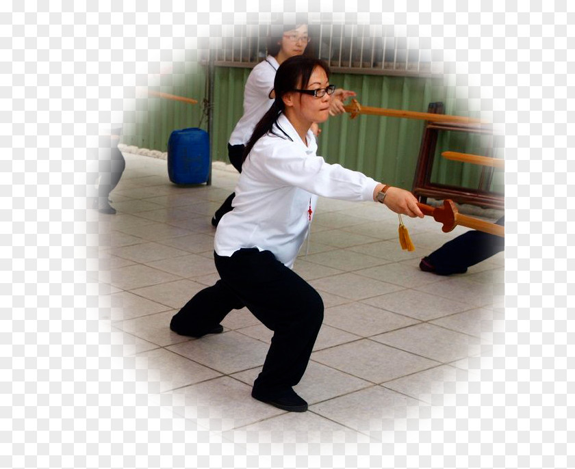 Tai Chi Qi Martial Arts T'ai Ch'uan Philosophy Kung Fu PNG